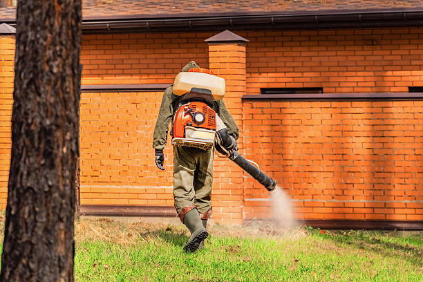 Trusted Rodent Control service in Islamorada Village of Islands, FL - Nex Pest Control